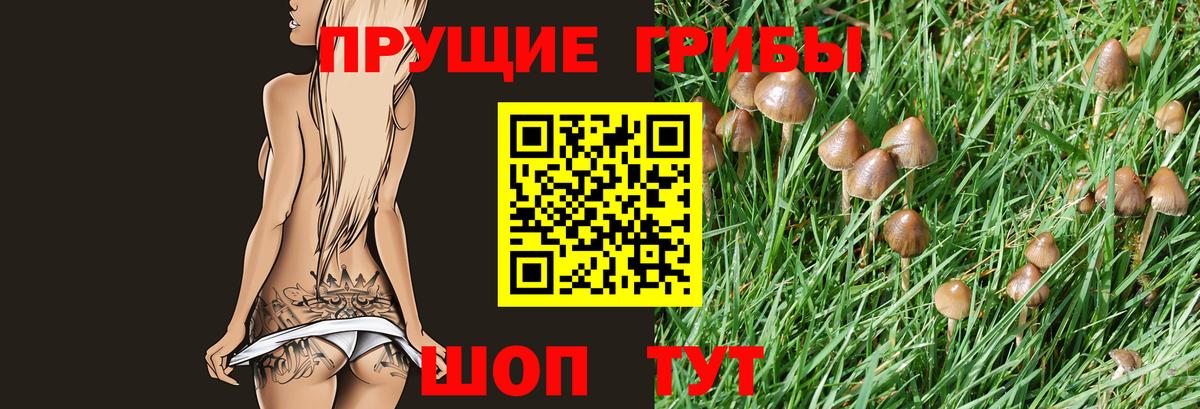 Альметьевск  Галлюциногенные грибы ЛСД  Вход с VPN 